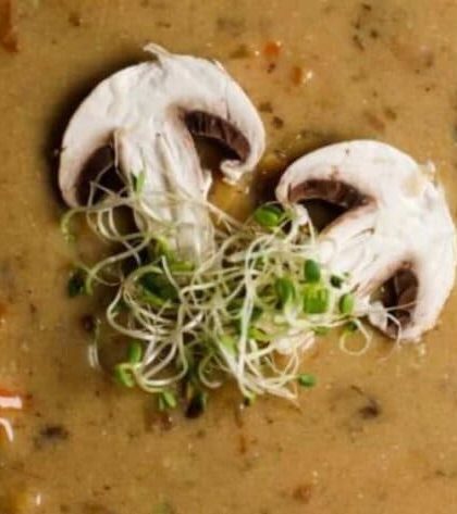 Ina Garten Mushroom Barley Soup