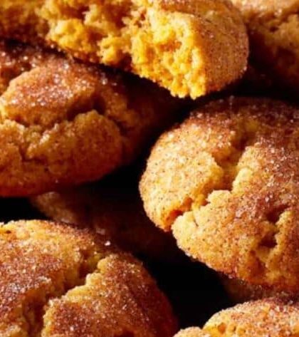 Ina Garten Snickerdoodles